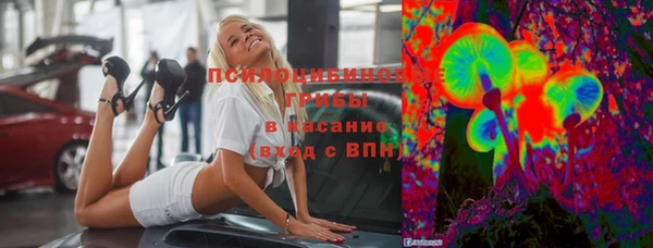 мескалин Ельня