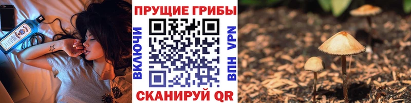 Псилоцибиновые грибы Magic Shrooms  что такое   Весьегонск 